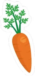 zanahoria